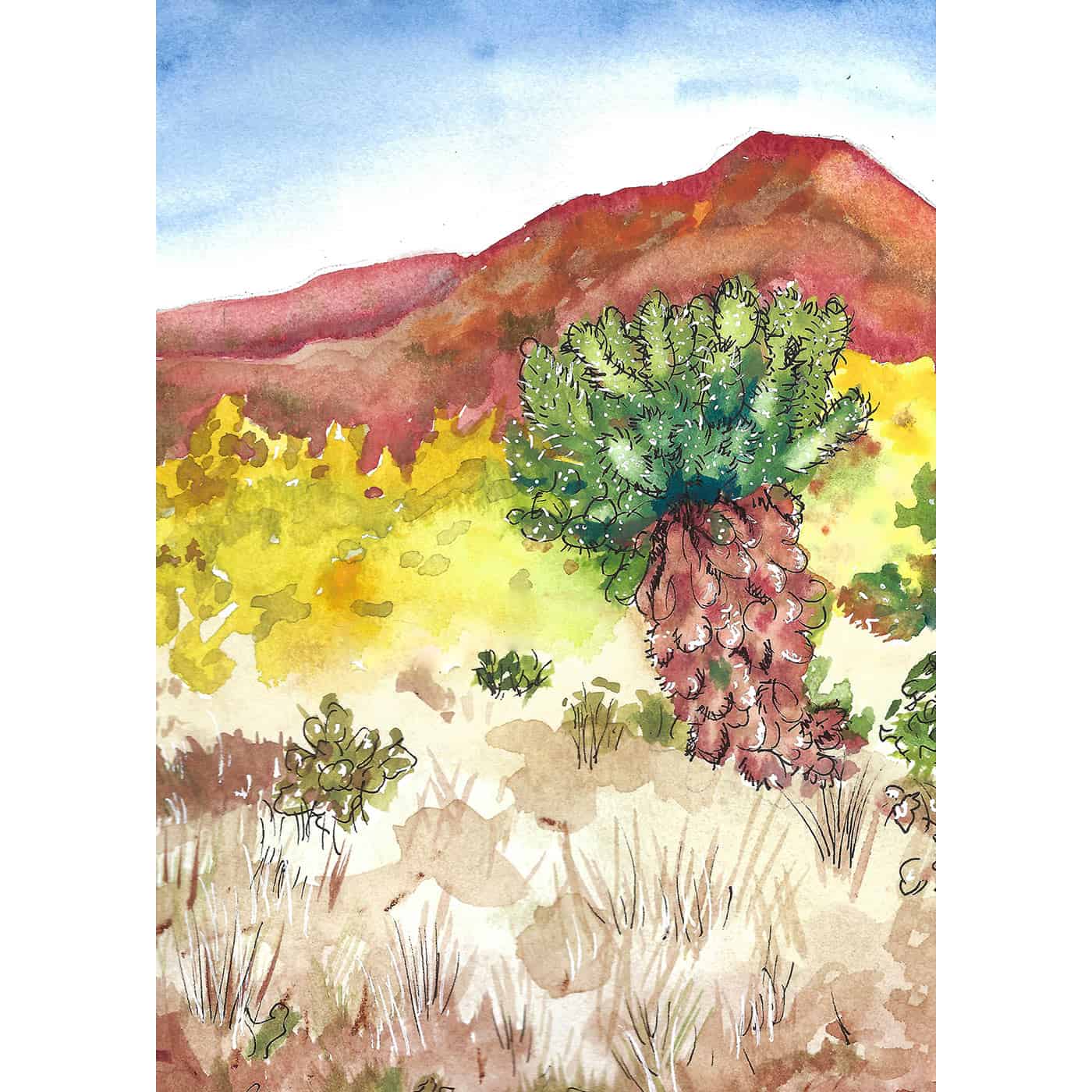 Cactus in the Desert